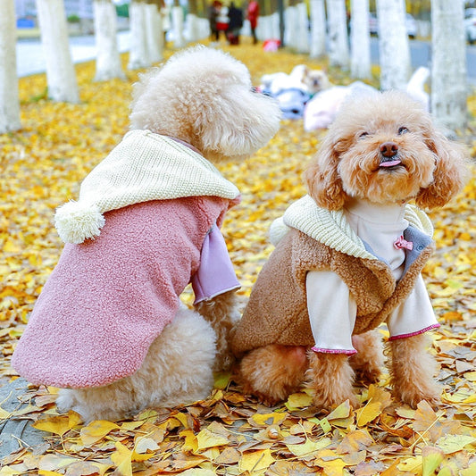 Chilly Dog, Warm Heart: The Importance of Dressing Your Furry Friend This Casual Spring Season