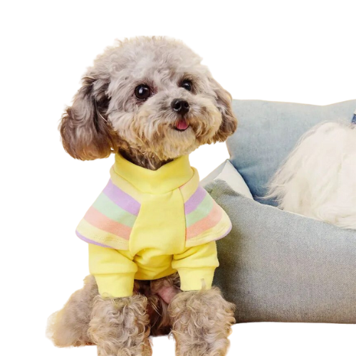 Cotton Dog Costume for Small to Medium Pets