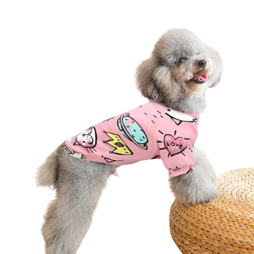 Cozy Cotton Hoodie for Small to Medium Dogs: Cute Winter Jacket