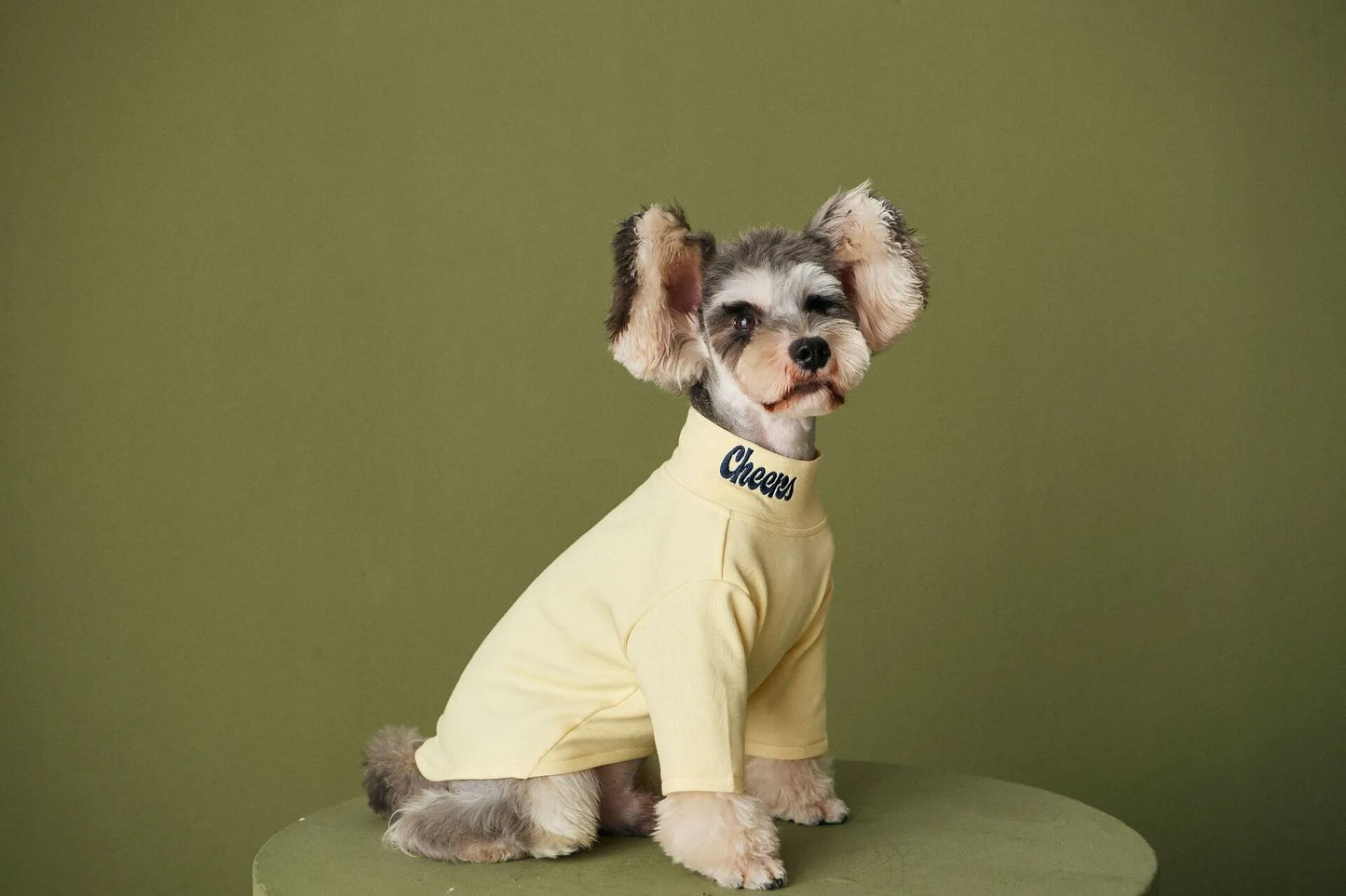 Fashion Dog Turtleneck Shirt