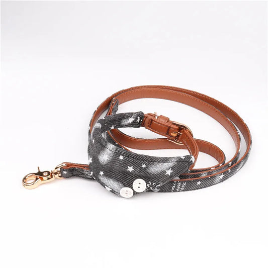 Stars Leather Dog Collar & Leash Set