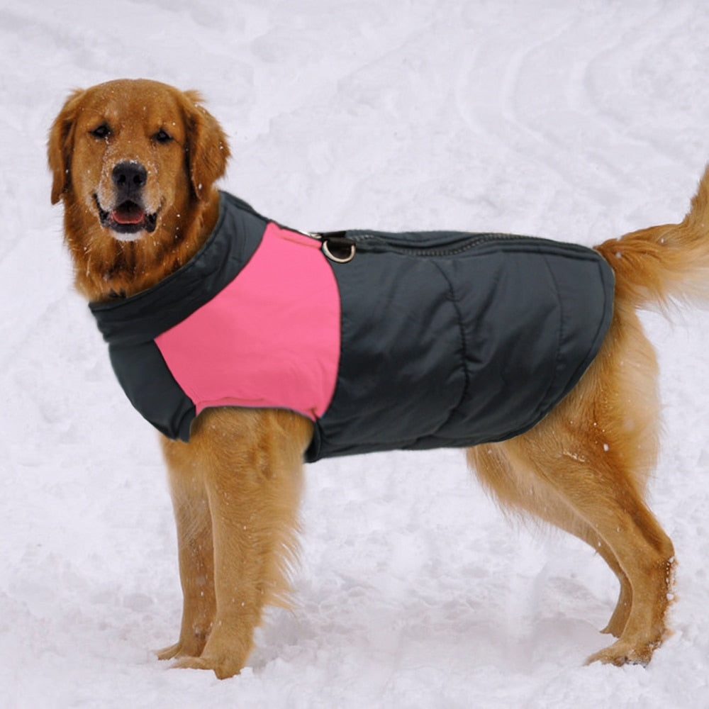 Waterproof Winter Jacket for Large Dogs: Cozy Pet Overalls PetTech Paradise
