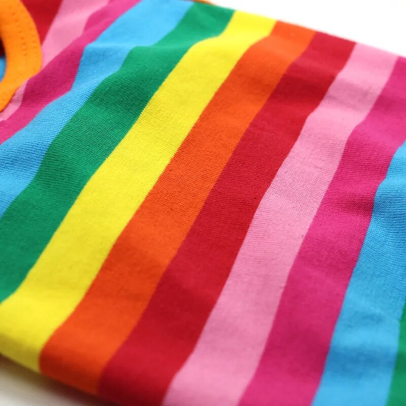 Rainbow Cat Costume Suit
