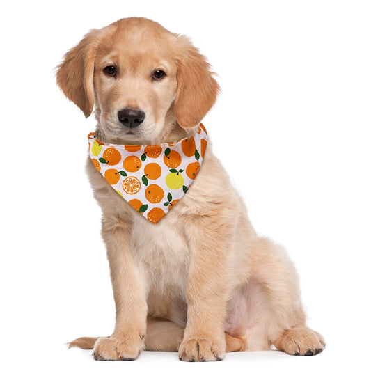 Cotton Dog Bandana Scarf: Summer Pet Accessory PetTech Paradise