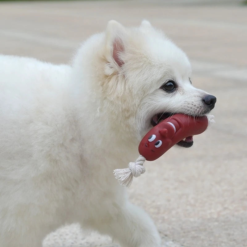 nteractive Squeaky Dog Chew Toy